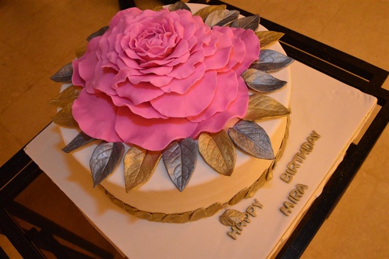 Mira El Khalil 20th Birthday Celebration 